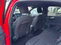 Ford Focus m-hybrid ST-Line 5 porte Automatica Rosso - thumbnail 7