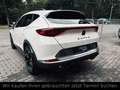 CUPRA Formentor VZ e-Hybrid+Kamera+Memory Sitze+ACC+ Wit - thumbnail 6