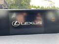 Lexus UX 300e Business 54 kWh 16000 km. Schwarz - thumbnail 23