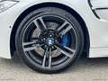 BMW M4 M4 Coupé|PELLE|CAMBIO DKG M|CARBONIO Bianco - thumbnail 18