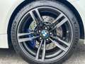 BMW M4 M4 Coupé|PELLE|CAMBIO DKG M|CARBONIO Bianco - thumbnail 19