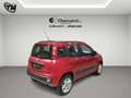 Fiat Panda 0.9 t.air t. natural power Easy 80cv Rot - thumbnail 5