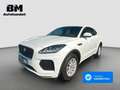 Jaguar E-Pace E-PACE RDynamic AWD,LED,Navi,Kamera,PDC,Carplay Weiß - thumbnail 1