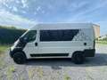 Peugeot Boxer 2.2 BlueHDi L2H2 Pro S/S / VANATIPIK ONE #1 Blanc - thumbnail 5