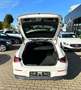 Mercedes-Benz CLA 180 CLA 180 Shooting Brake Pano.-Dach+LED+Sitzhzg. Bianco - thumbnail 5