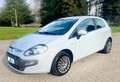 Fiat Punto Evo 3p 1.4 Active 77cv  15000 km come nuova Grigio - thumbnail 1