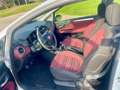Fiat Punto Evo 3p 1.4 Active 77cv  15000 km come nuova Grigio - thumbnail 10