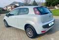 Fiat Punto Evo 3p 1.4 Active 77cv  15000 km come nuova Grigio - thumbnail 4
