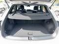 Volkswagen T-Roc R-Line TSi DSG ACC+AHK+LED+Virt+PDC+Kamera Grau - thumbnail 17