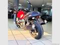 Moto Guzzi V 11 V 11 SPORT BALLABIO FRIZIONE NUOVA Rouge - thumbnail 7