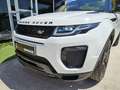 Land Rover Range Rover Evoque Rove Convertible 2.0TD4 HSE Dynamic 4WD 180 Aut Blanc - thumbnail 17