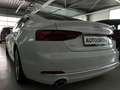 Audi A5 Sportback 40 TFSI sport /DAB/MMI-Navi/DSP Weiß - thumbnail 4