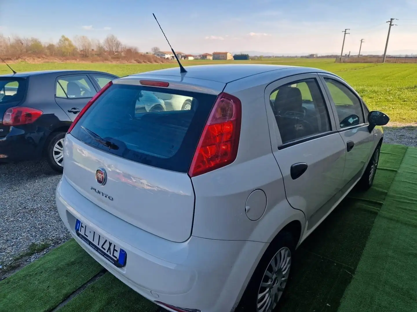 Fiat Punto Evo 5p 1.3 mjt Fun s&s 95cv - 2
