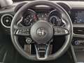 Alfa Romeo Stelvio Stelvio 2.0 Turbo 16V Lusso Ti Q4 XENON+NAVI+ACC Rojo - thumbnail 23