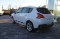 Peugeot 3008 1.6 HDi 110CV Tecno TETTO PANO.+ HEAD-UP White - thumbnail 5