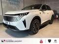 Peugeot 3008 GT HYBRID 145 e-DSC6 Weiß - thumbnail 2