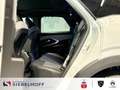 Peugeot 3008 GT HYBRID 145 e-DSC6 Weiß - thumbnail 9