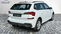 Skoda Kamiq 1,0 TSI 130 Jahre AHK DAB LED Kamera Blanco - thumbnail 3