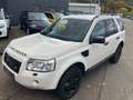 Land Rover Freelander E TD4*TÜV*04/2027*Klima*AHK* Weiß - thumbnail 3
