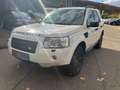 Land Rover Freelander E TD4*TÜV*04/2027*Klima*AHK* Weiß - thumbnail 10