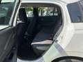 Suzuki Swift 1.2 Dualjet Hybrid Comfort+ Weiß - thumbnail 8