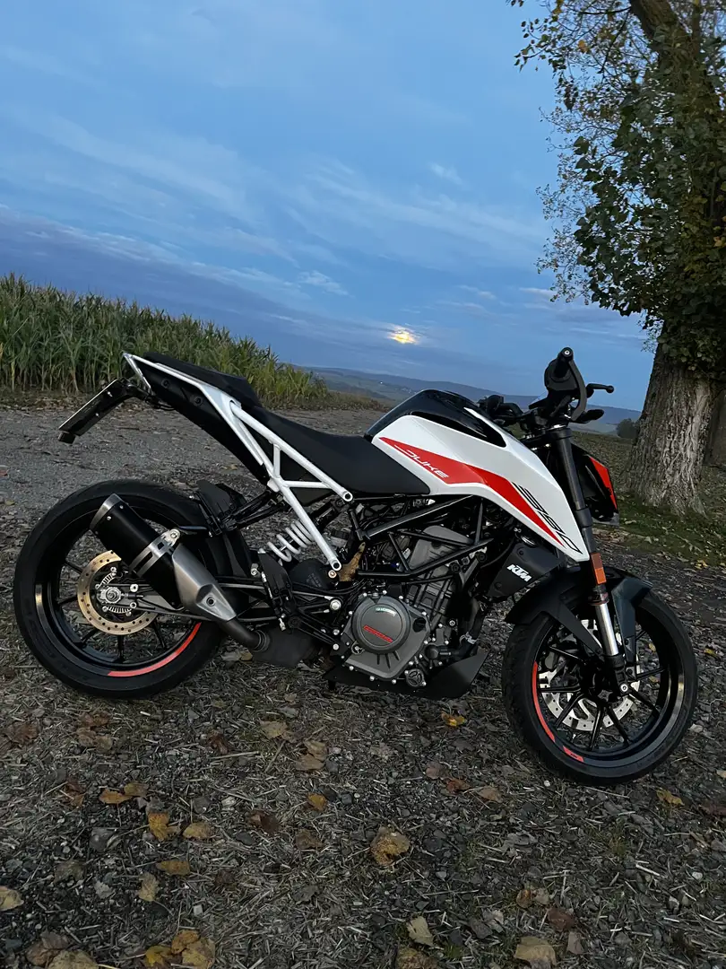 KTM 390 Duke Alb - 1