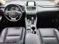 Lexus NX 300h Executive Line Schwarz - thumbnail 17