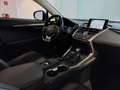 Lexus NX 300h Executive Line Schwarz - thumbnail 11