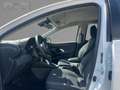 Toyota Yaris 1.5 Business Edition Navi Kamera DAB Blanc - thumbnail 9