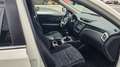 Nissan X-Trail 1.6 dCi 2WD Acenta Bianco - thumbnail 7