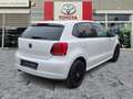 Volkswagen Polo V 1.2 TSI Life Pano+SD+SHZ+Winterp.+KlimaA Weiß - thumbnail 5