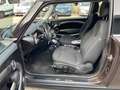MINI Cooper D D Bronze - thumbnail 13