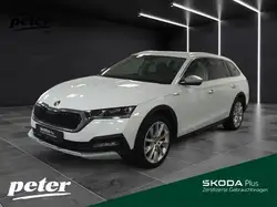 Skoda Octavia SCOUT TDI DSG 4X4 **AHK*COLUMBUS*CANTON