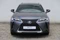 Lexus UX 250h Launch Edition Gri - thumbnail 8