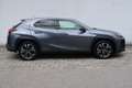 Lexus UX 250h Launch Edition Gri - thumbnail 6