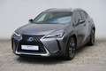 Lexus UX 250h Launch Edition Gri - thumbnail 1