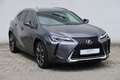 Lexus UX 250h Launch Edition Gri - thumbnail 7