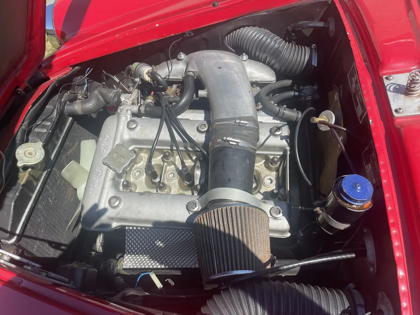 Alfa Romeo Giulietta Sprint Czerwony - 2