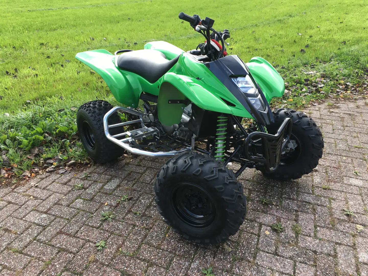 Kawasaki KFX 400 Vert - 1