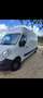 Renault Master MASTER BD L3 3.5t dCi 100 CONFORT Blanc - thumbnail 2