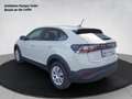 Volkswagen Taigo 4Me TSI Gris - thumbnail 3