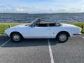 Peugeot 504 Cabriolet Weiß - thumbnail 3