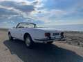 Peugeot 504 Cabriolet Weiß - thumbnail 7