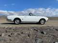 Peugeot 504 Cabriolet Weiß - thumbnail 10