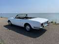 Peugeot 504 Cabriolet Weiß - thumbnail 13