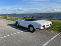 Peugeot 504 Cabriolet Weiß - thumbnail 5