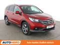 Honda CR-V 2.0 i-VTEC Lifestyle 4WD *BI-XENON*TEMPO*CAM*PDC* Red - thumbnail 8