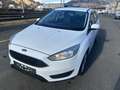 Ford Focus Traveller 1,5 EcoBlue Trend Edition Business - thumbnail 9