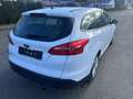 Ford Focus Traveller 1,5 EcoBlue Trend Edition Business - thumbnail 8