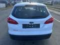 Ford Focus Traveller 1,5 EcoBlue Trend Edition Business - thumbnail 7